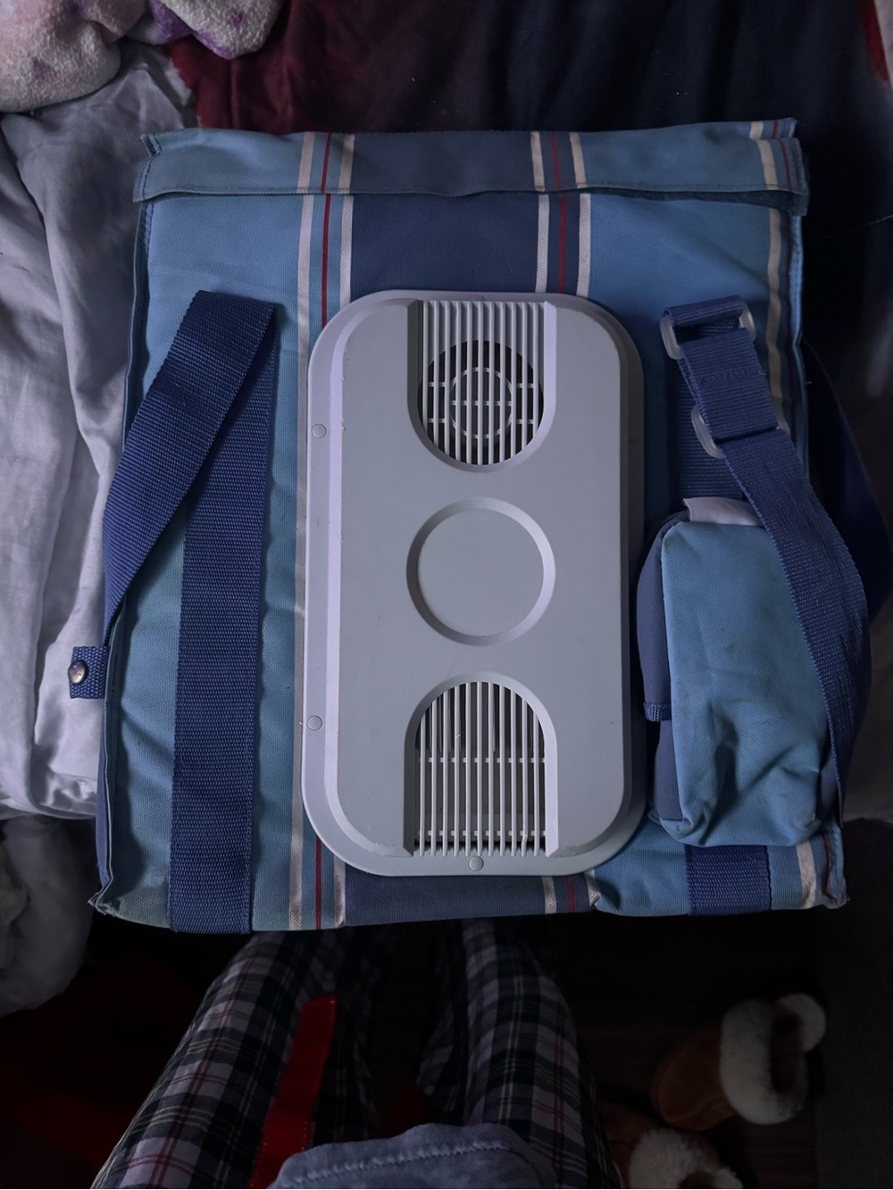 Blue Striped Insulated Cooler Bag with Adjustable Strap 12V